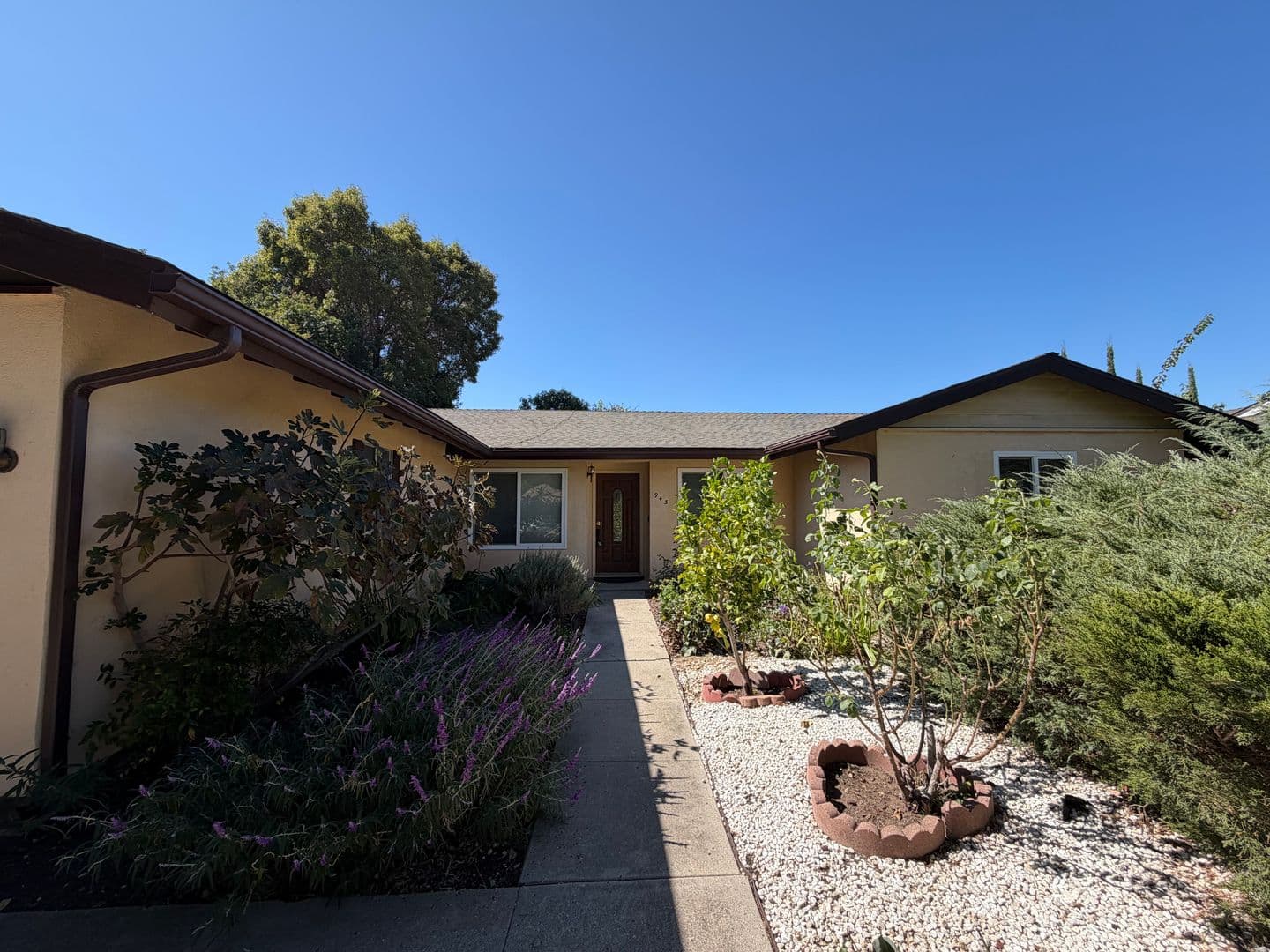 Santa Barbara House: 943 N Patterson Ave