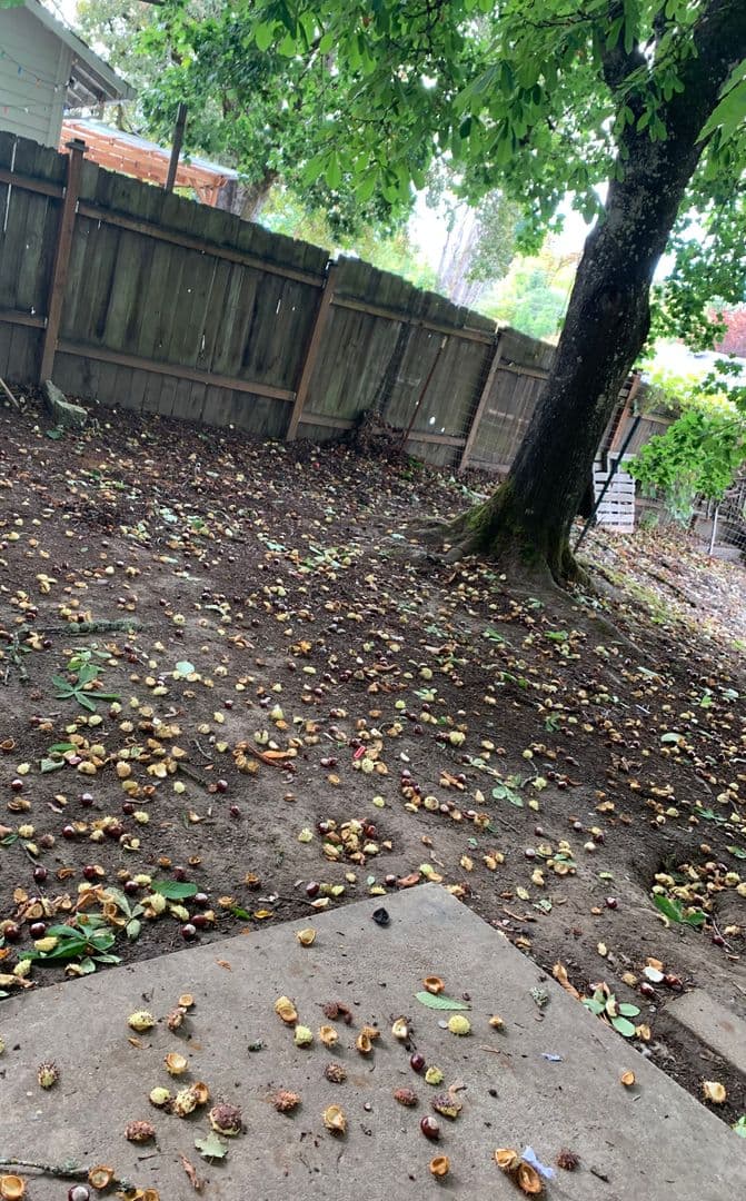 Beaverton Townhome: 4166 SW 170th Ave.