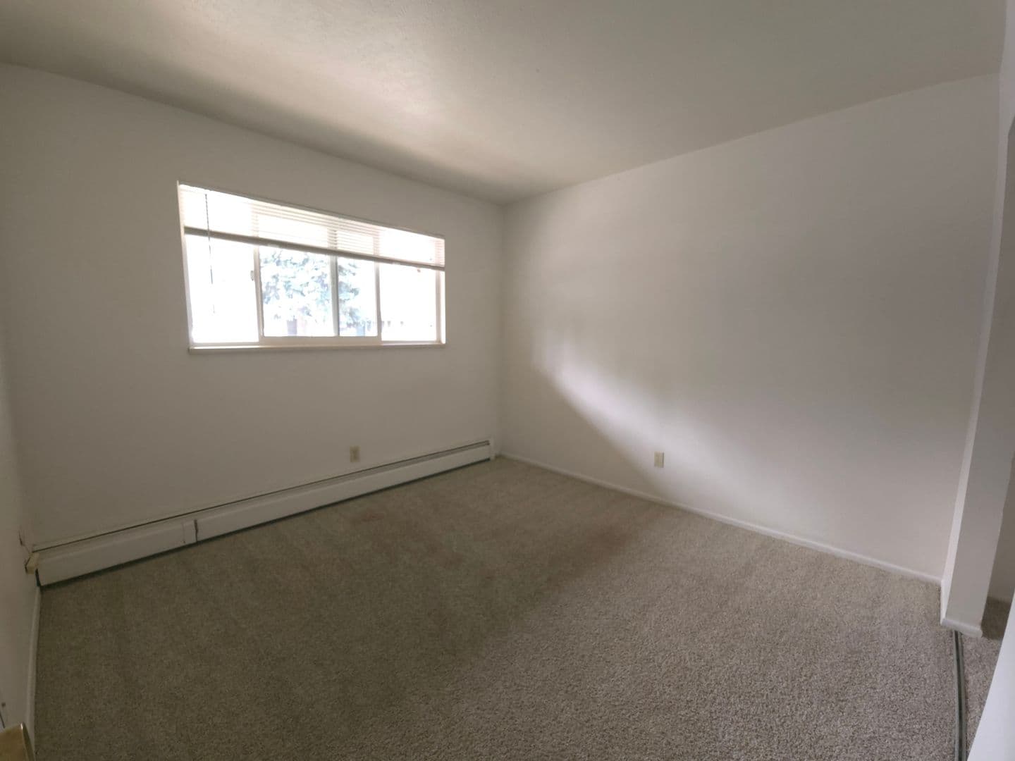 Boulder Apartment: 1410 19th St.
