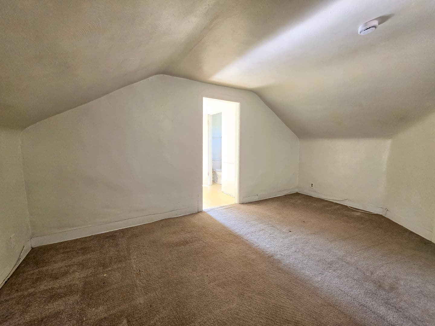 Boulder Apartment: 954 11th St.