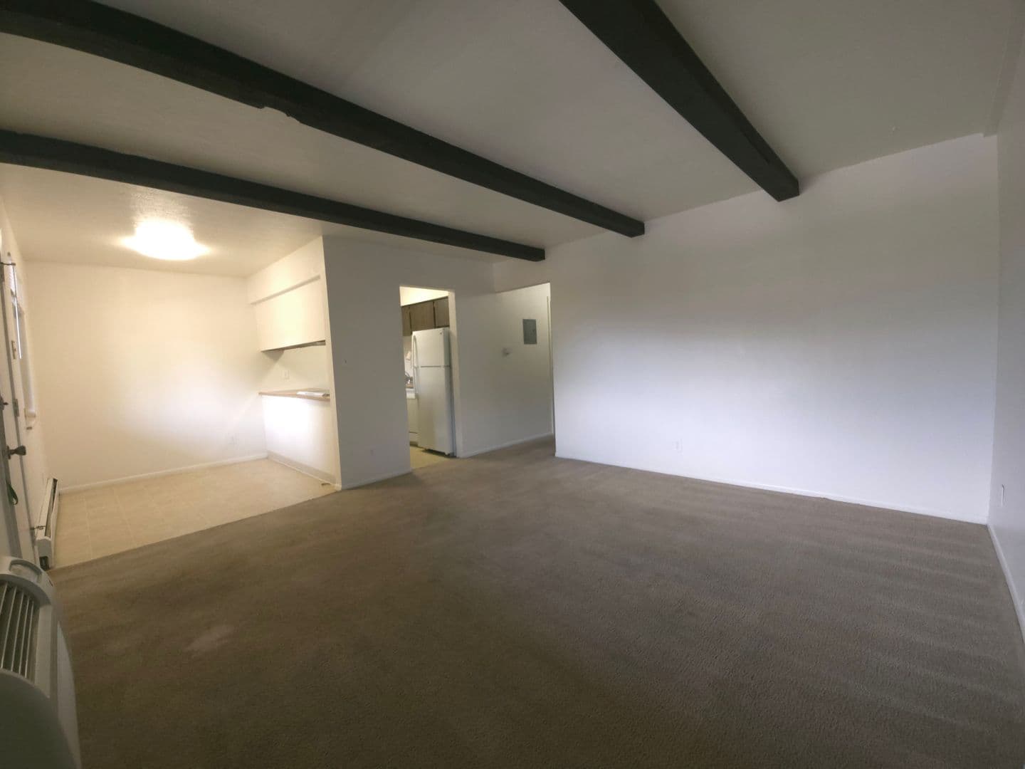 Louisville Apartment: 1608 Garfield Avenue
