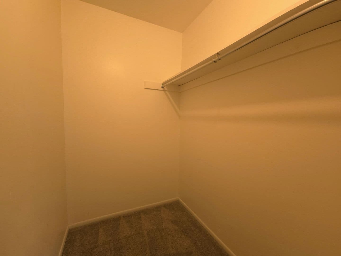 Louisville Apartment: 1608 Garfield Avenue