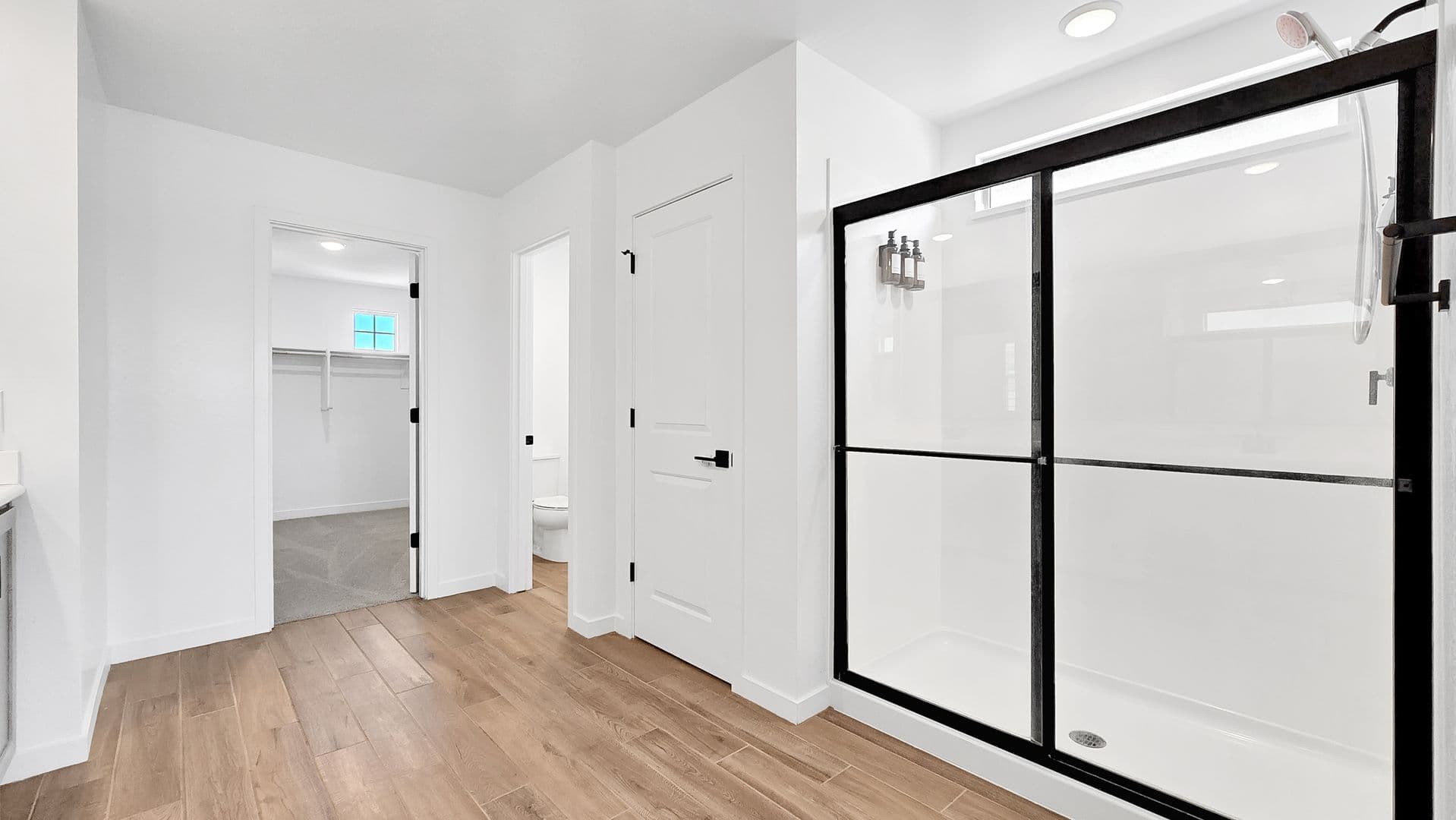 Surprise House: 27156 N 169th Dr
