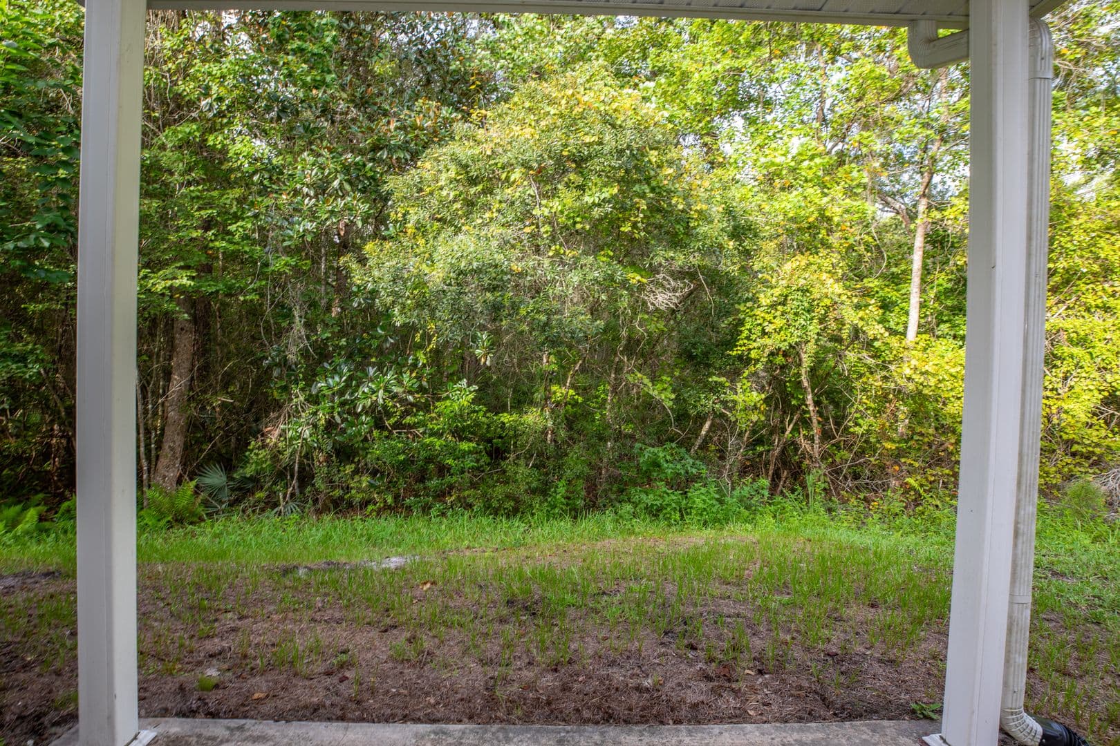 Jacksonville House: 1777 Biscayne Bay Circle