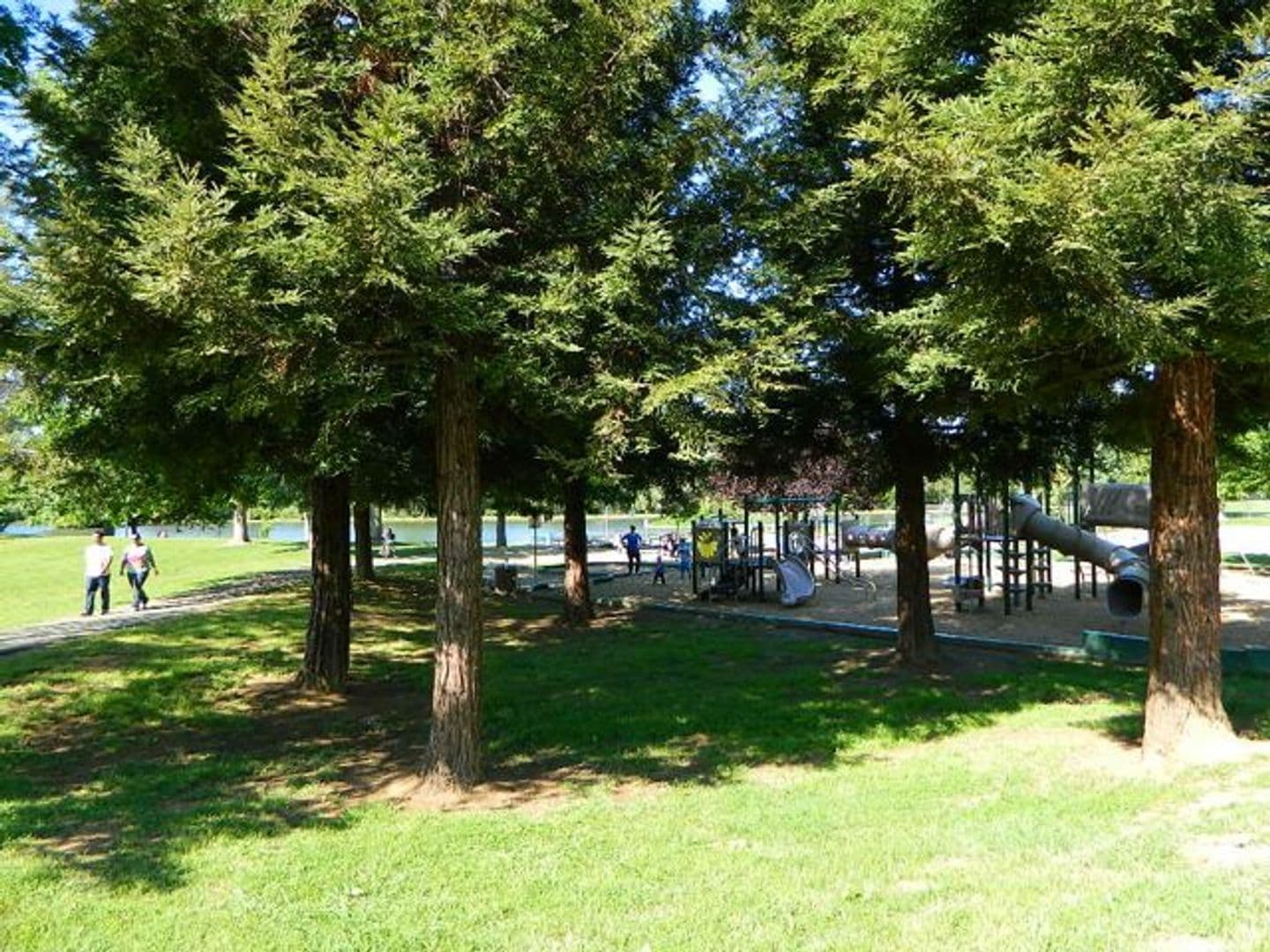 Auburn House: 3673 Park Drive