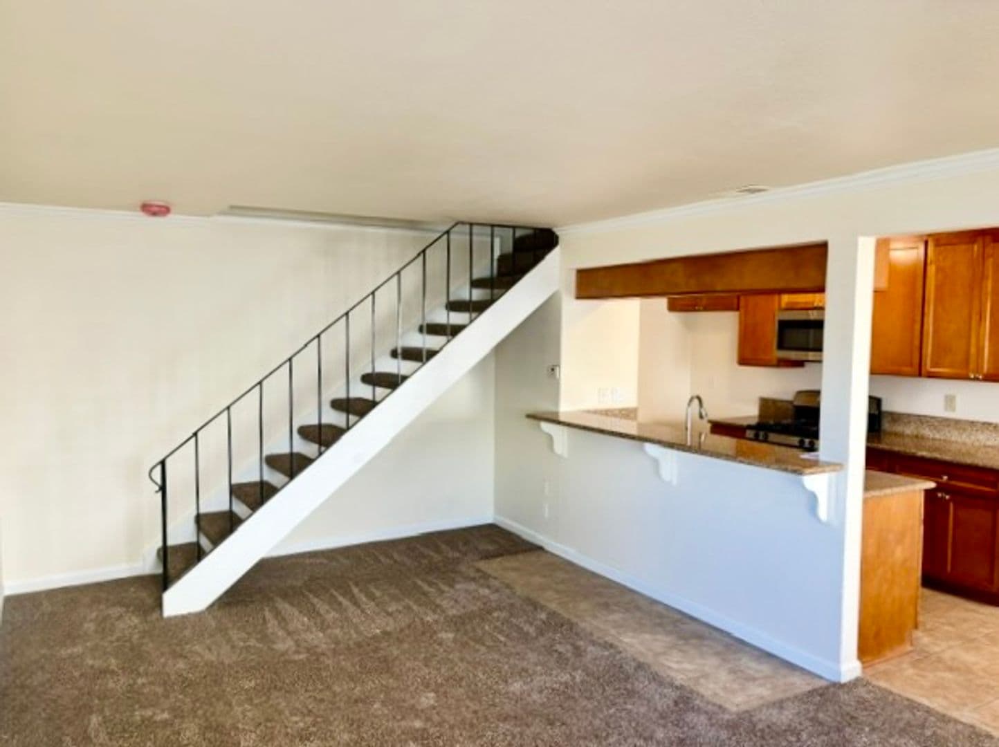Auburn House: 3673 Park Drive