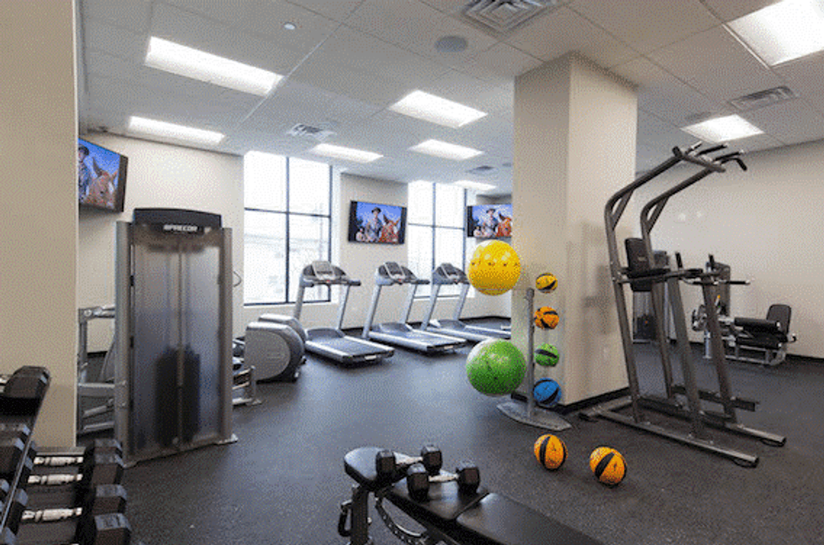 Hackensack Apartment: 295 Polifly Road
