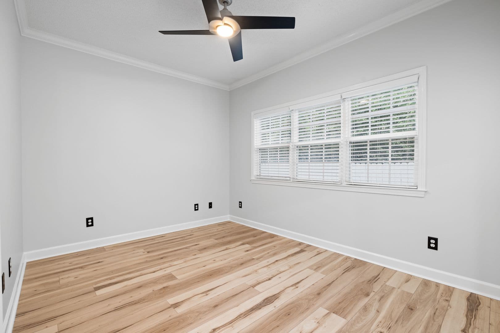 Enterprise House: 202 Wynn Road