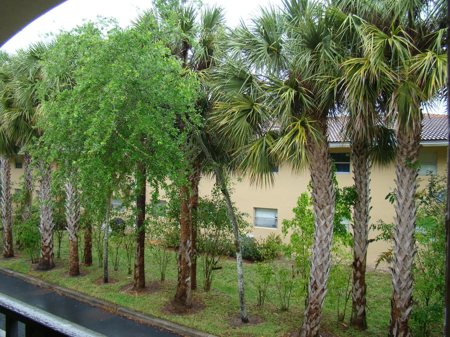 Coral Springs Apartment: 8703 W Sample Road, Apt. 101-211