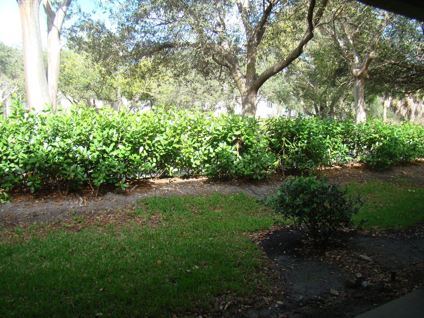 Coral Springs Townhome: 3105-3281 NW 118th Drive