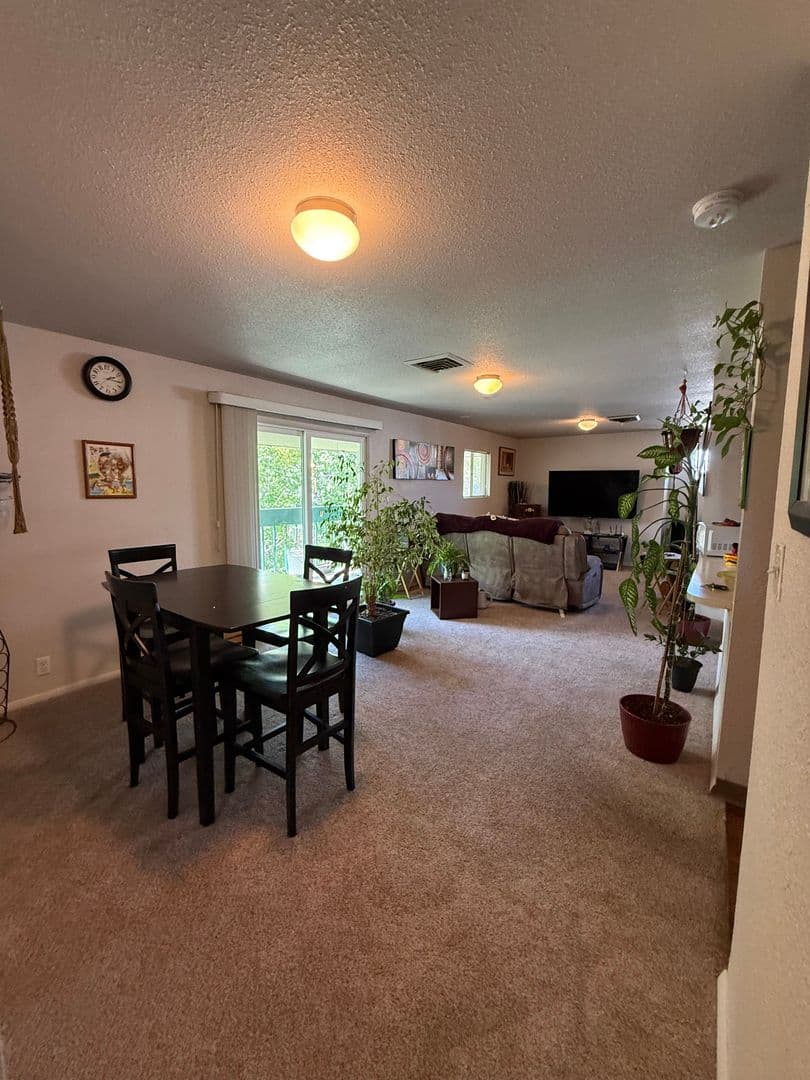 Colorado Springs House: 228 Auburn Drive