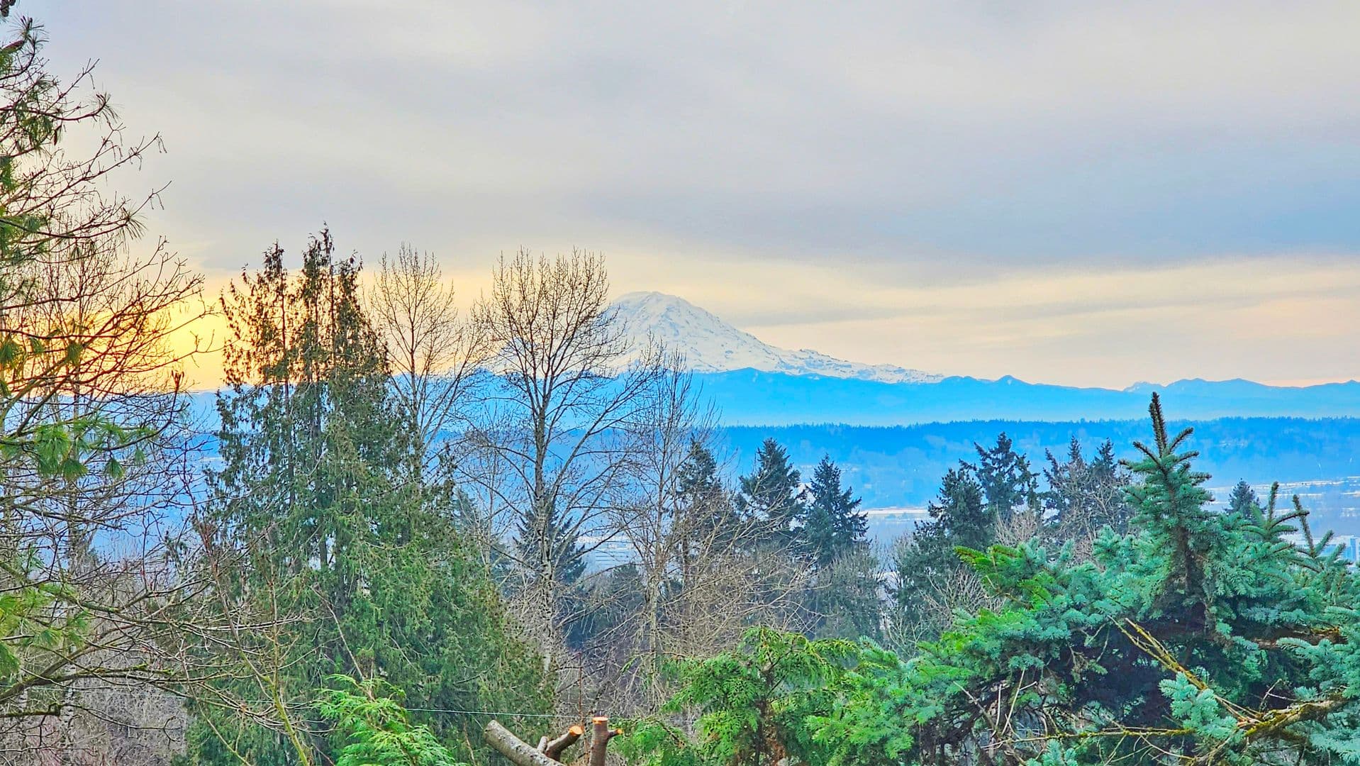 Seattle House: 7127 S 130th St