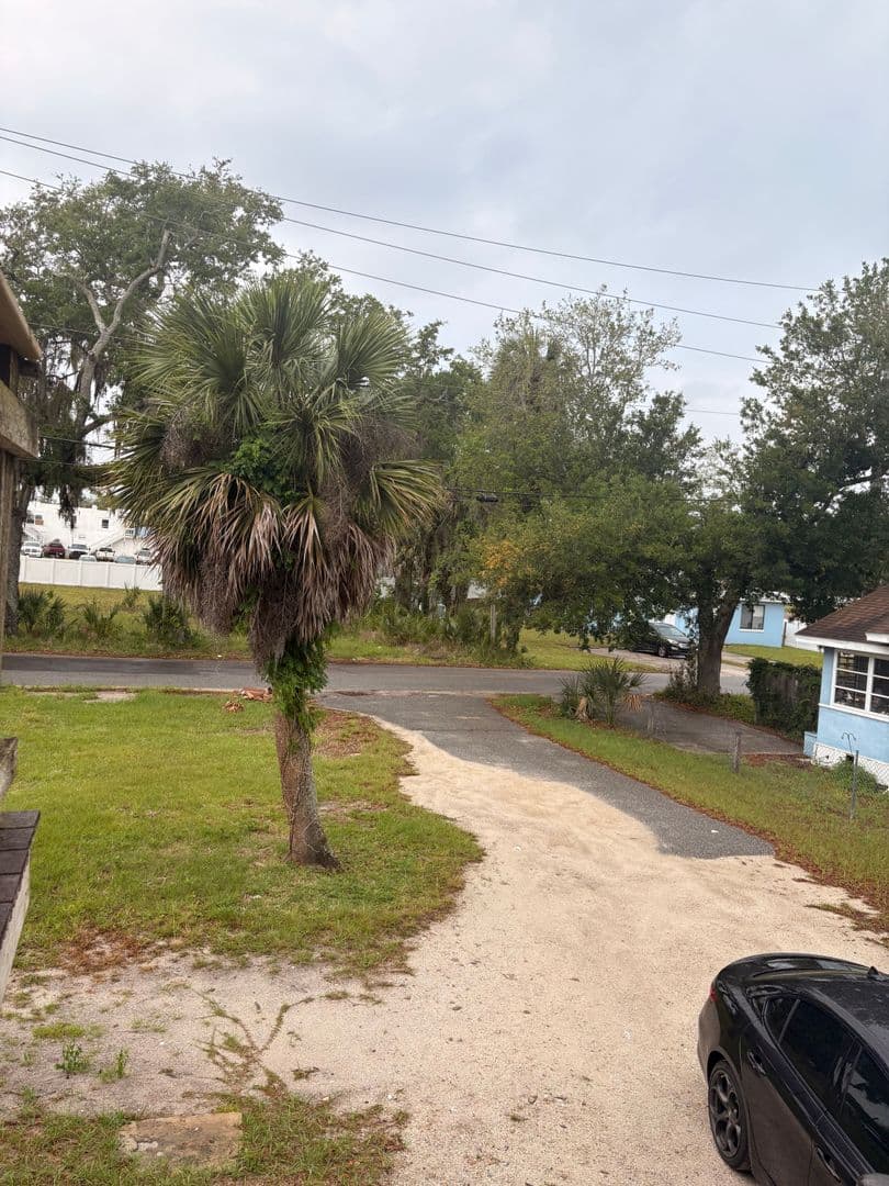 Daytona Beach Apartment: 322 Bellevue Ave