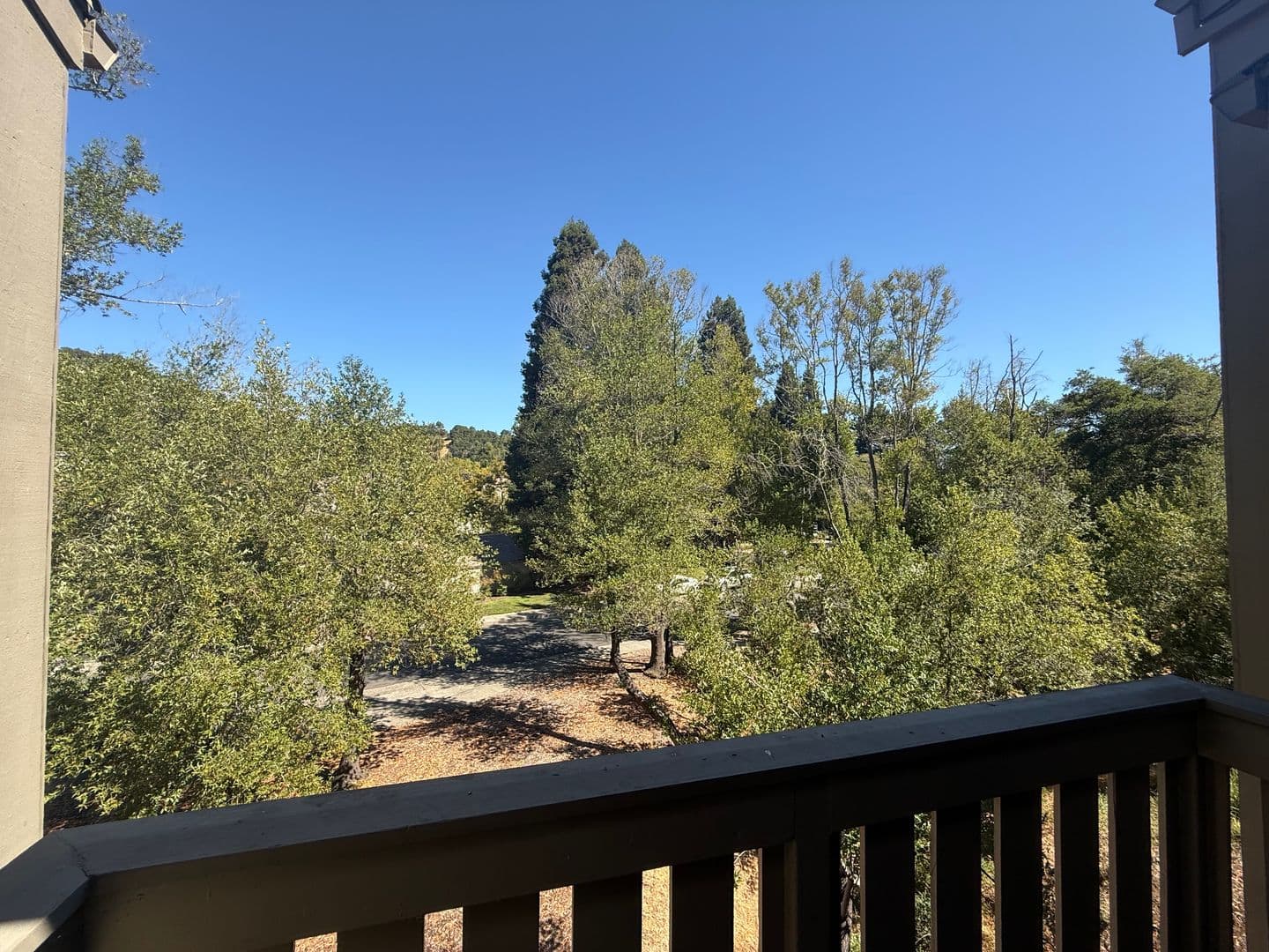 Novato Condo: 202 Pelican Ln