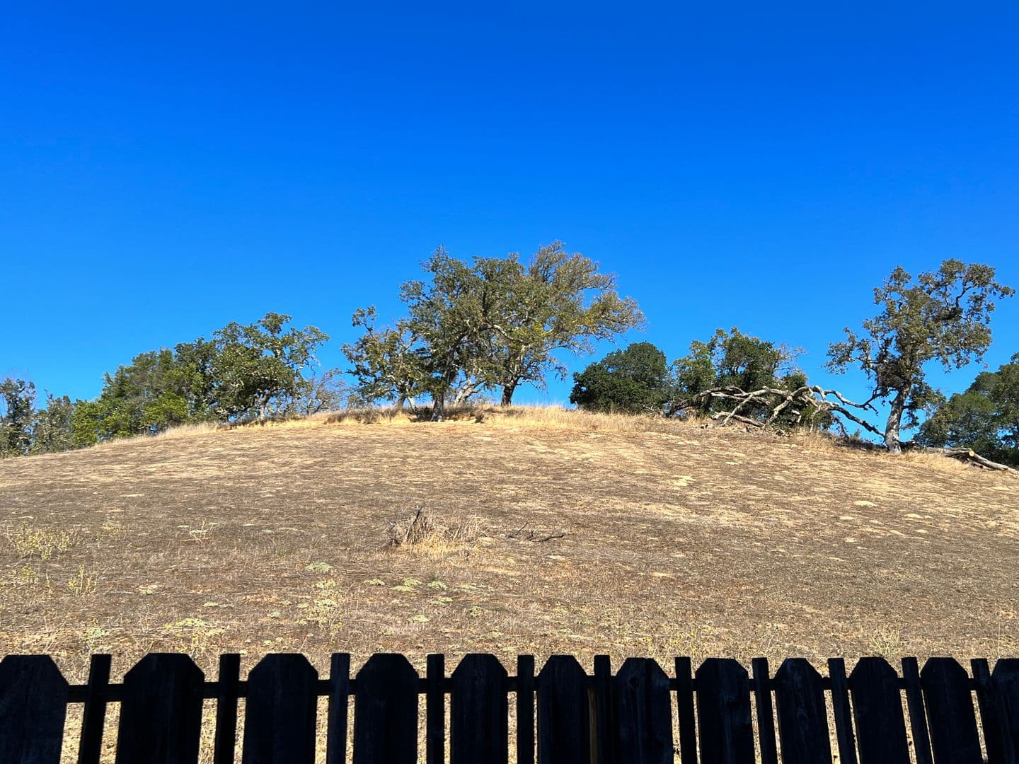 Novato Townhome: 17 Columbine Ln