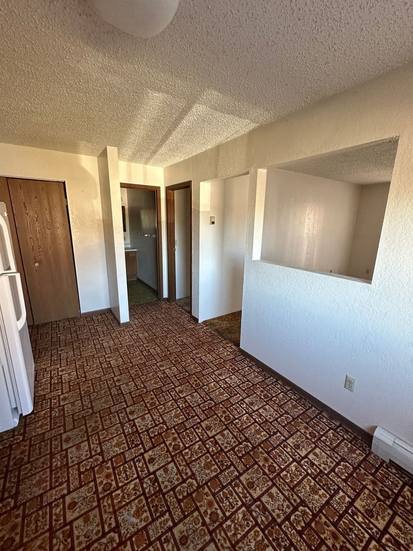 Bemidji Apartment: 1011 Washington Ave S