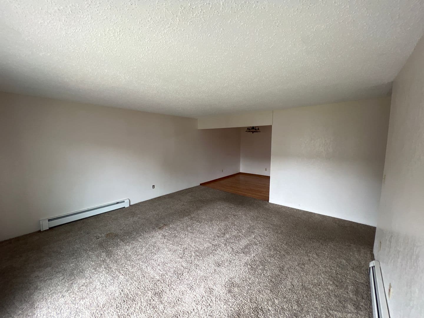 Bemidji Apartment: 1011 Washington Ave S