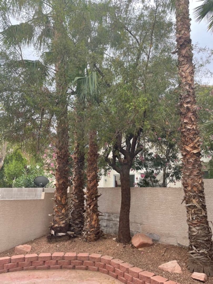 Las Vegas House: 321 Waterton Lakes Ave