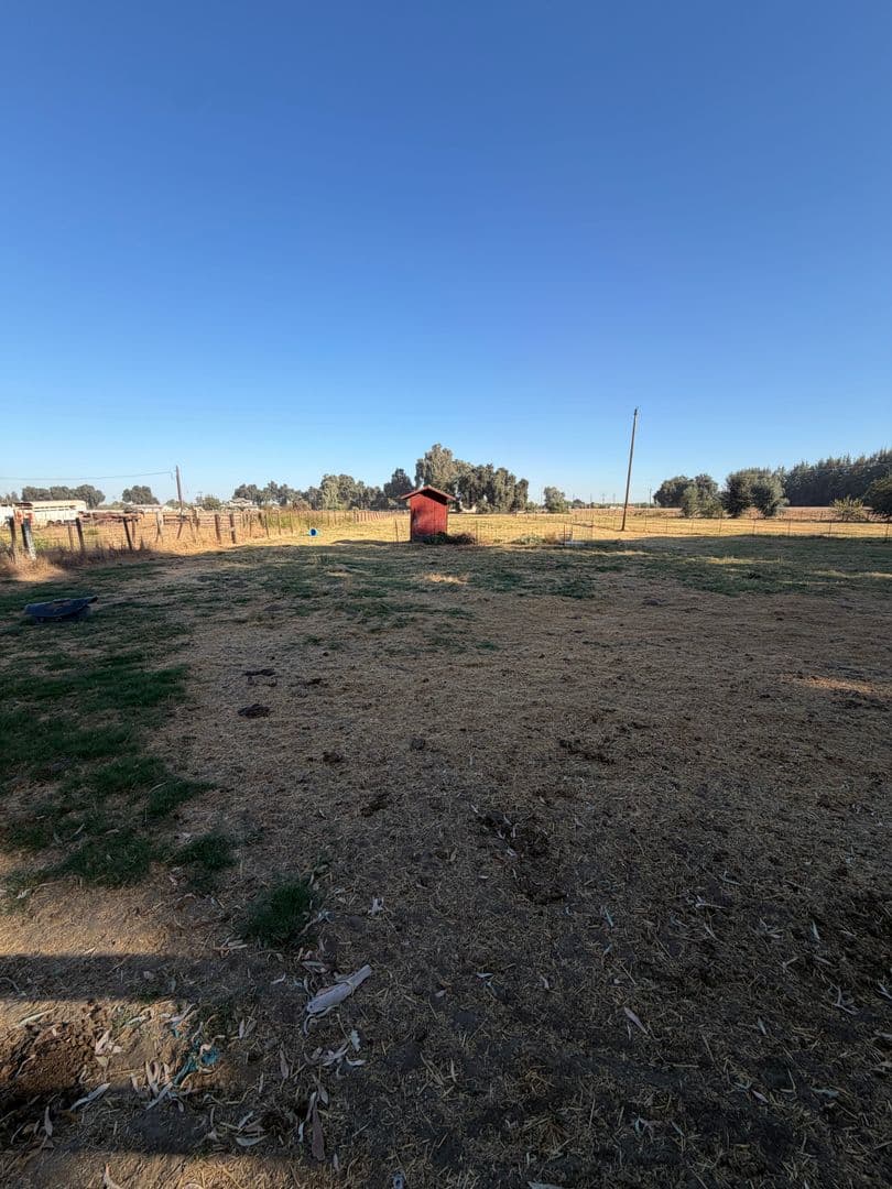 Lemoore House: 7666 19 1/2 Ave