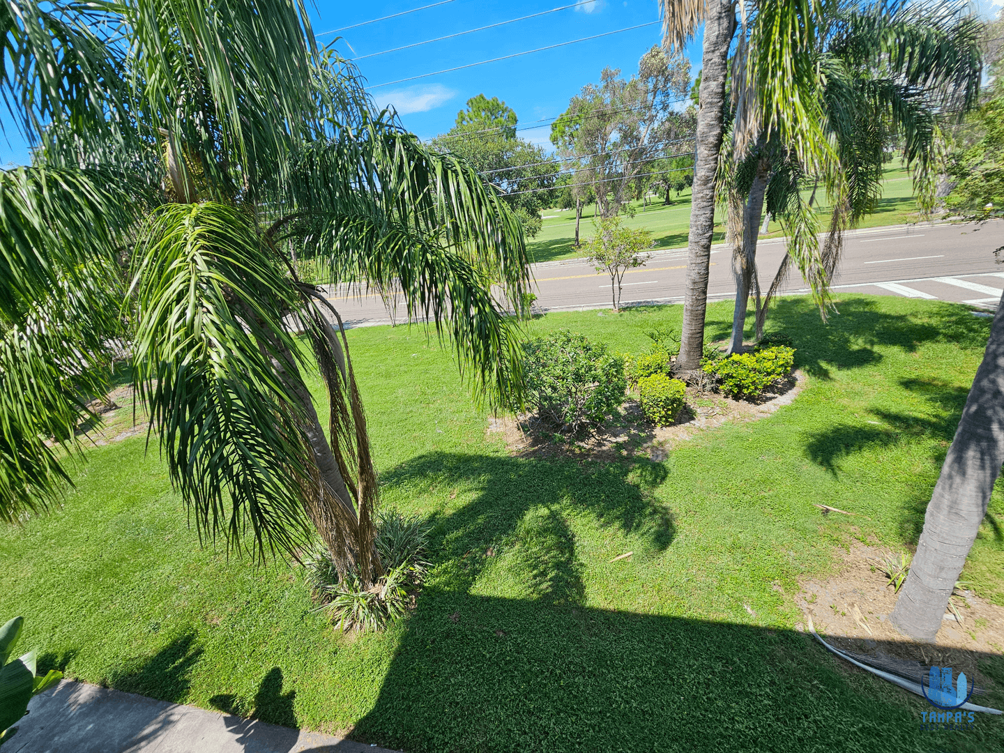 Clearwater Apartment: 1355 Drew St