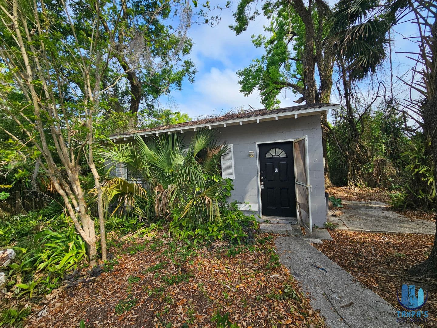 Tampa Apartment: 1504 E 99th Ave