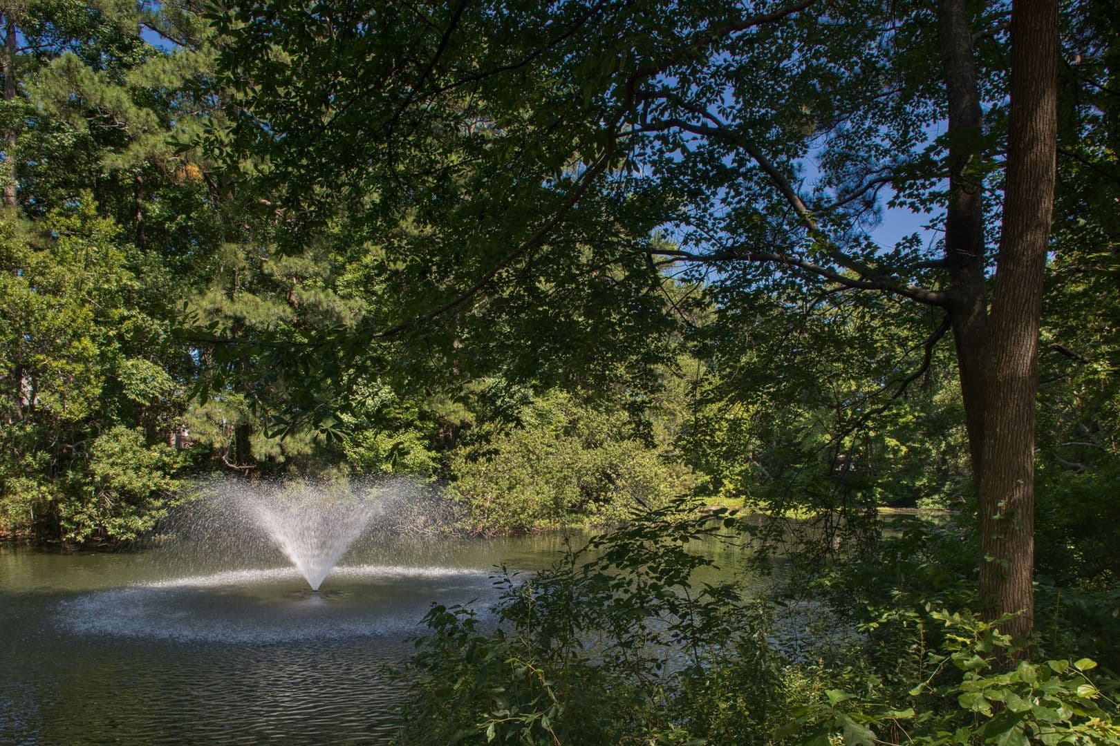 Virginia Beach Apartment: 500 Chapel Lake Drive