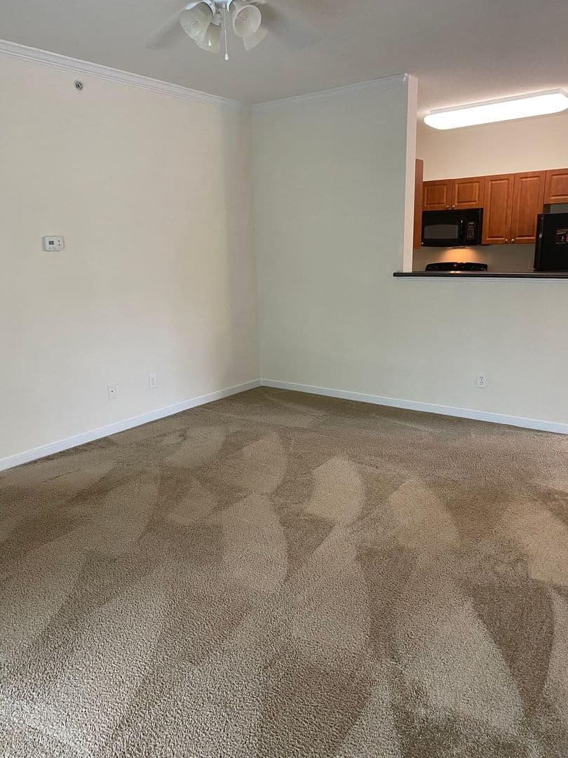 Newport News Apartment: 650 Stoney Creek Lane