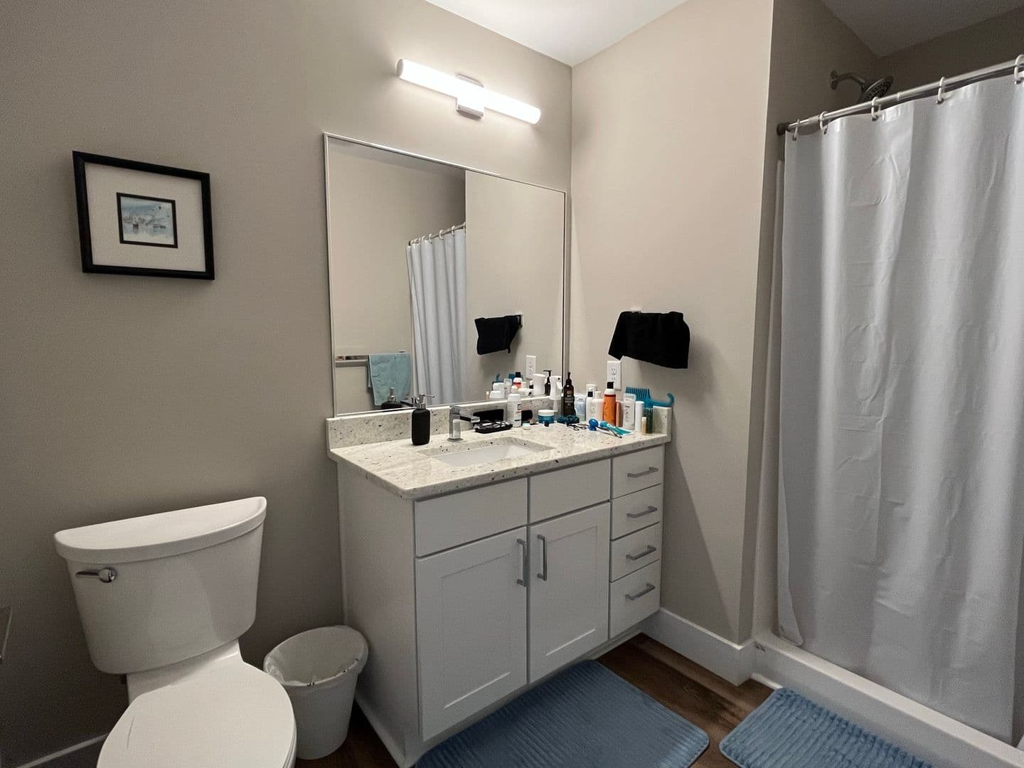 Charlottesville Apartment: 404 Carl Smith Street