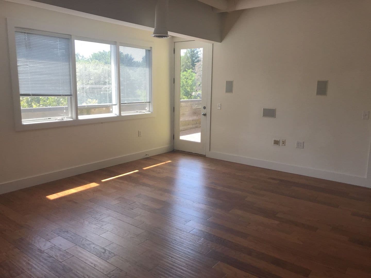 Charlottesville Apartment: 1707 Jefferson Park Avenue