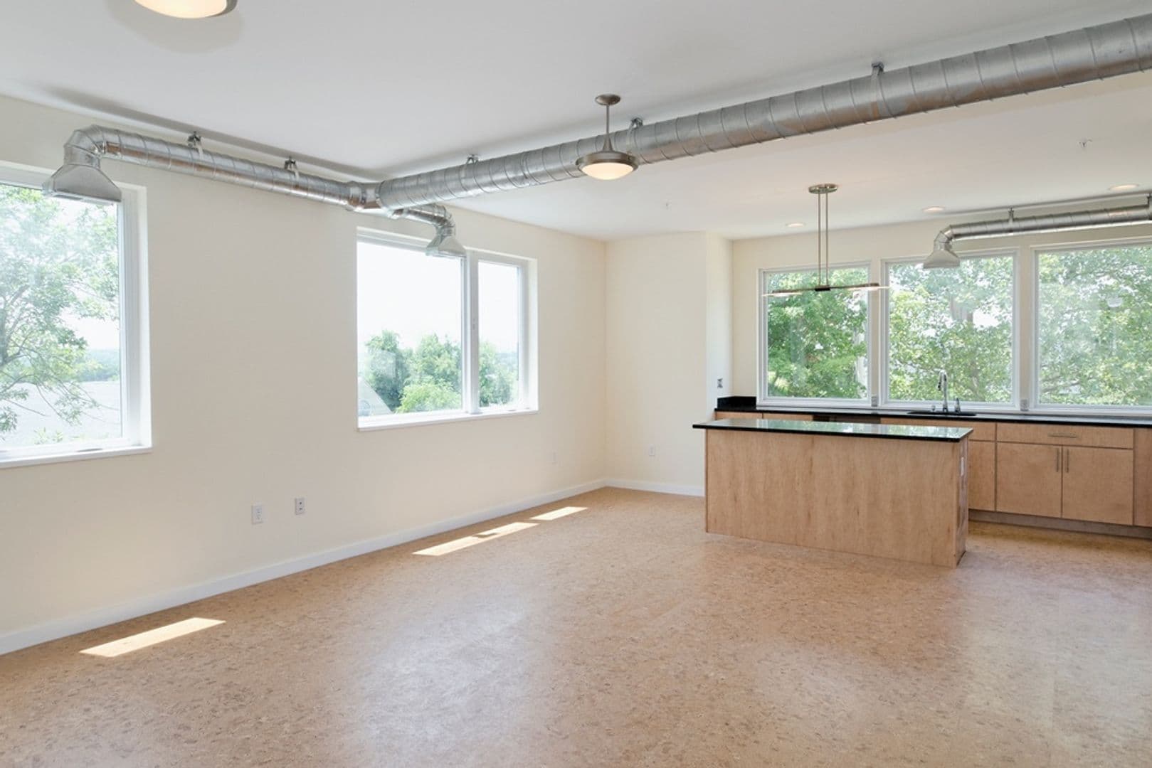Charlottesville Apartment: 1050 Druid Avenue