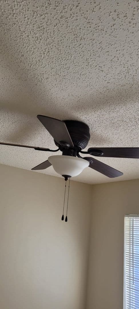 Tampa Apartment: 7101-7103 S Mascotte St