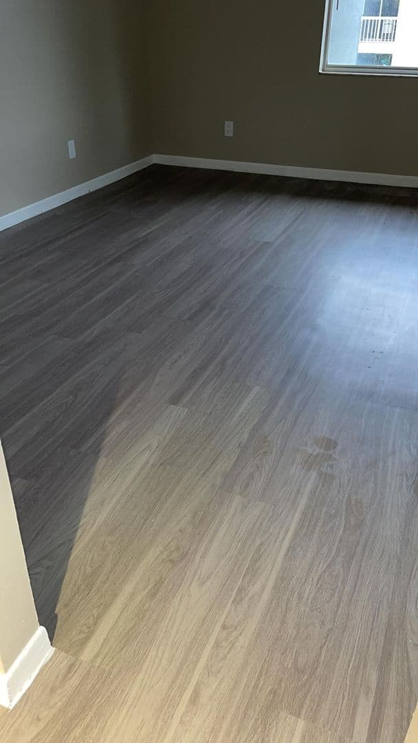 Tampa Apartment: 1915 W Waters Ave