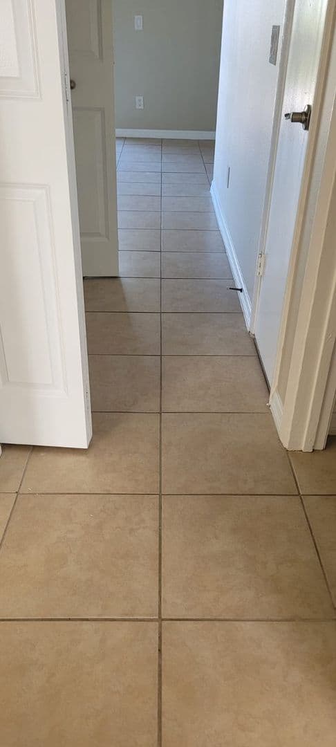 Tampa Apartment: 7101-7103 S Mascotte St