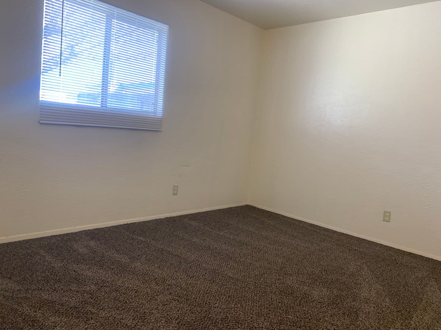 Albuquerque Apartment: 319 General Marshall St NE