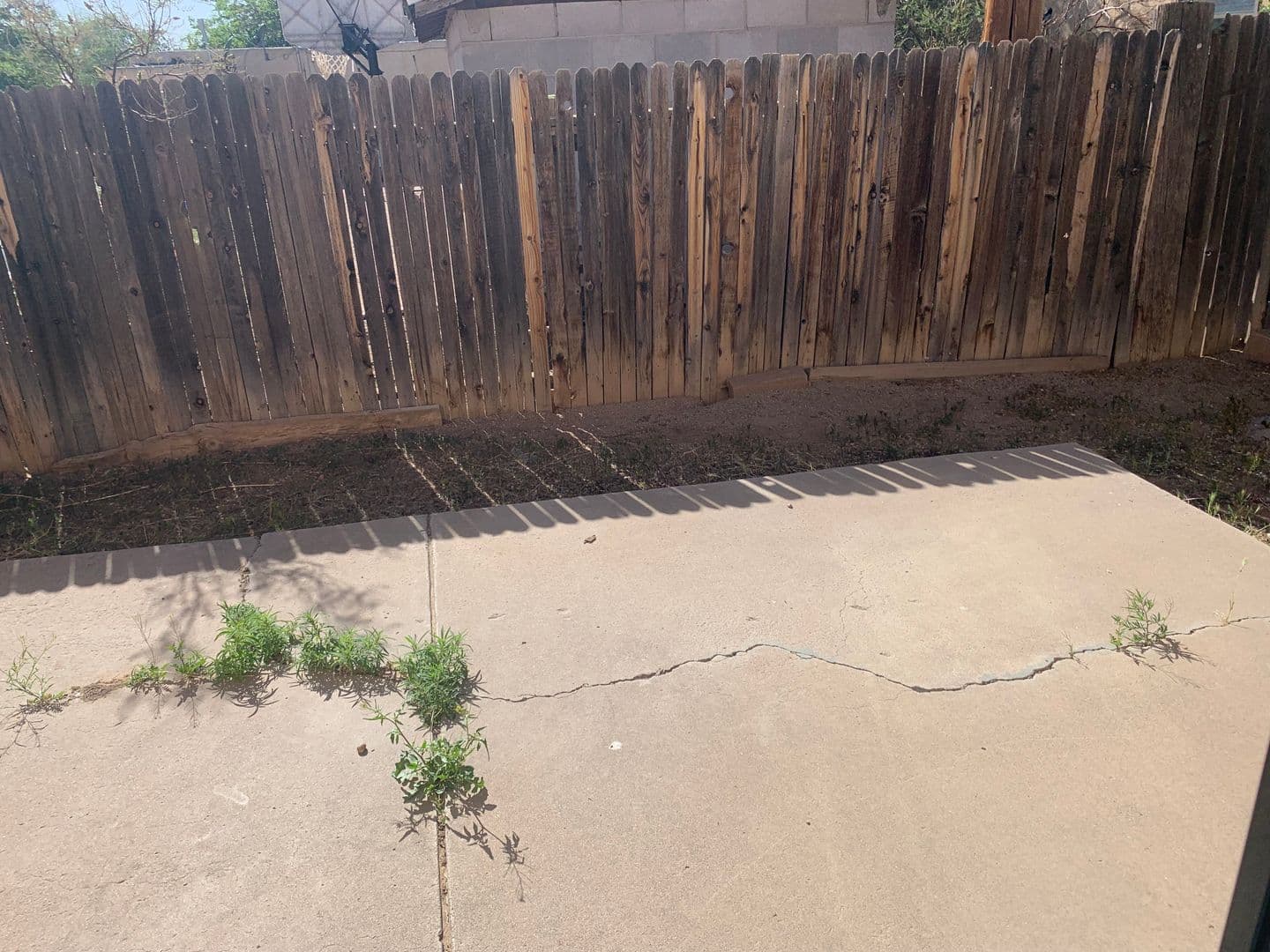 Albuquerque Apartment: 157 Mesilla St NE