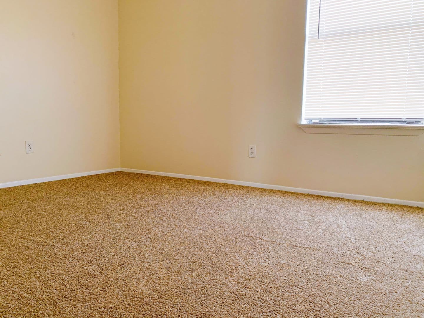 Albuquerque Apartment: 1801 Girard Blvd SE