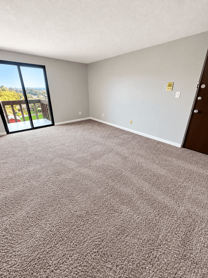 Carnegie Apartment: 711 Cubbage Street