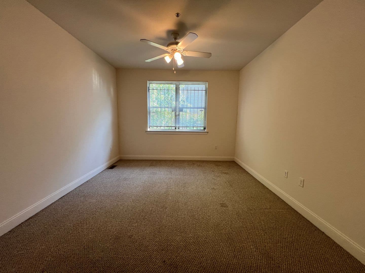 Philadelphia Apartment: 1814 N 16th St