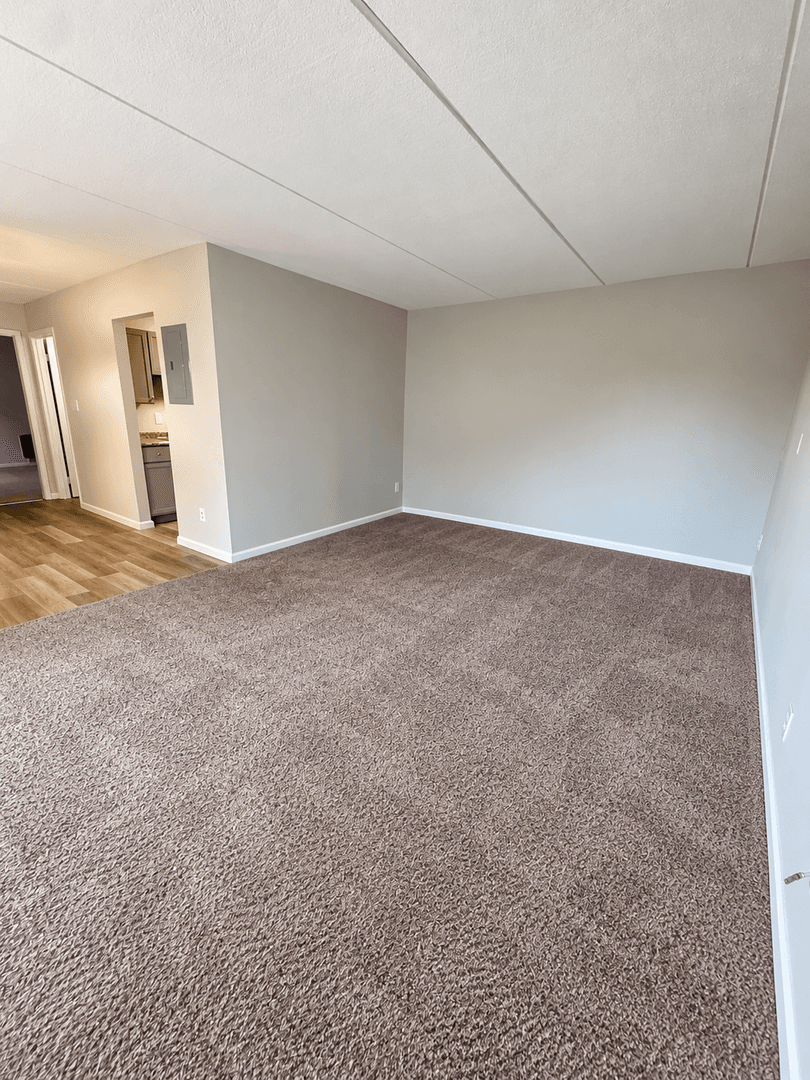 Carnegie Apartment: 711 Cubbage Street