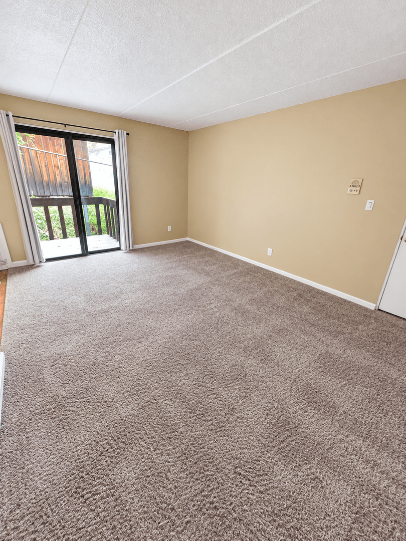 Carnegie Apartment: 711 Cubbage Street