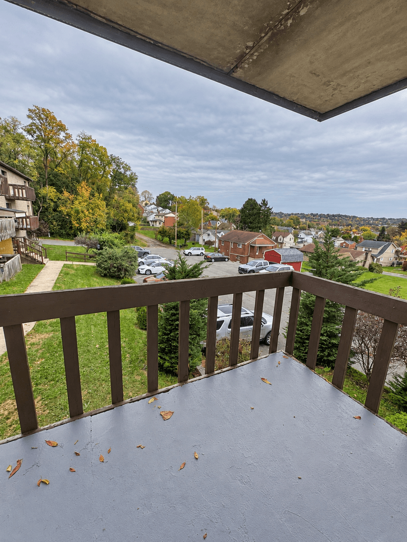Carnegie Apartment: 711 Cubbage Street