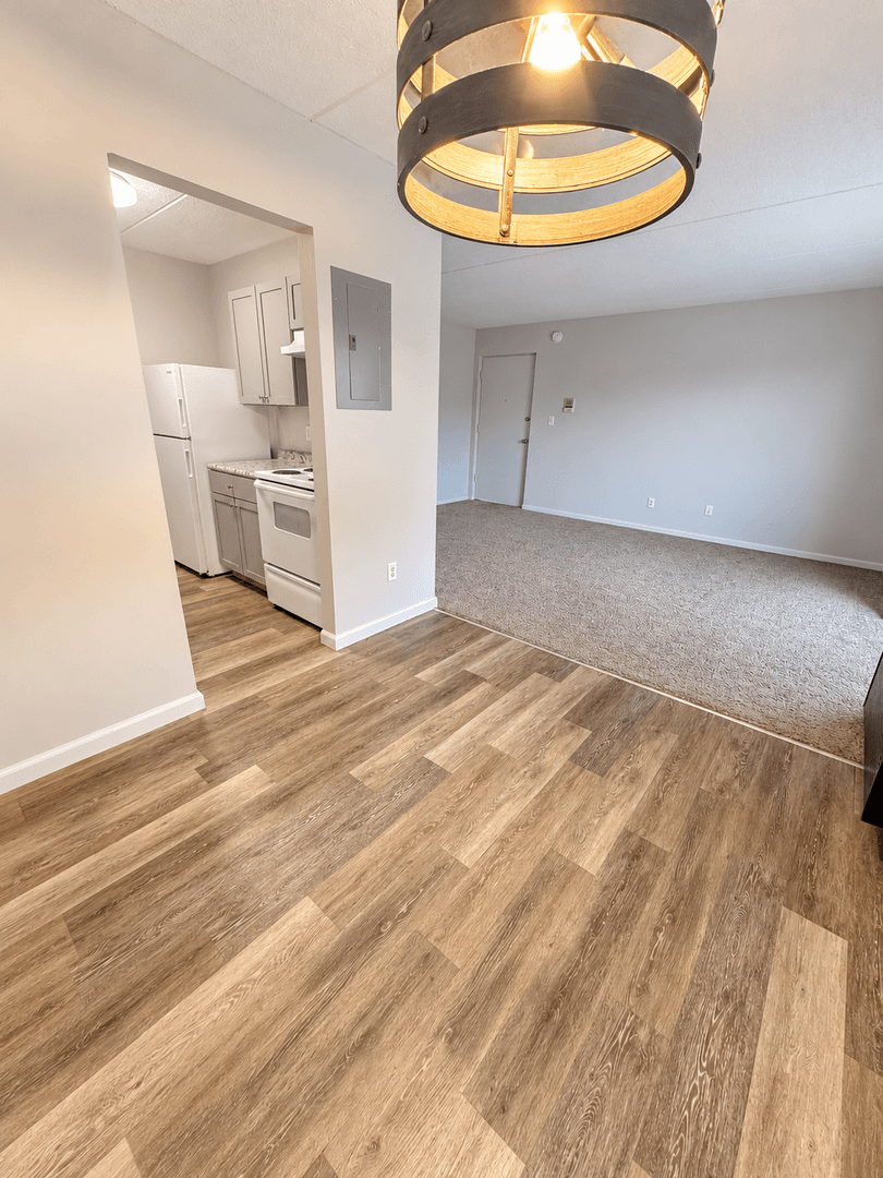 Carnegie Apartment: 711 Cubbage Street