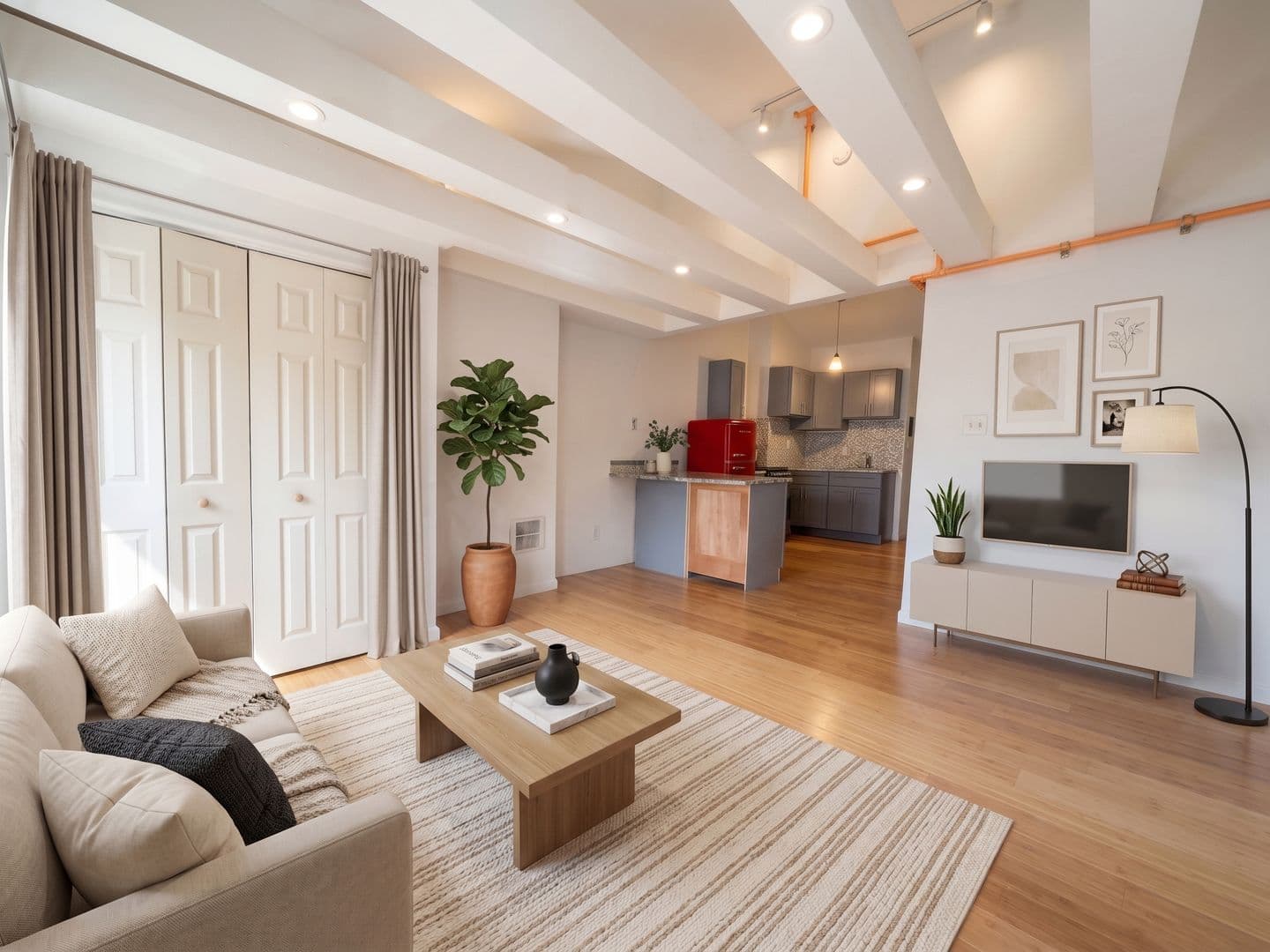 Philadelphia Apartment: 113 w Girard Ave
