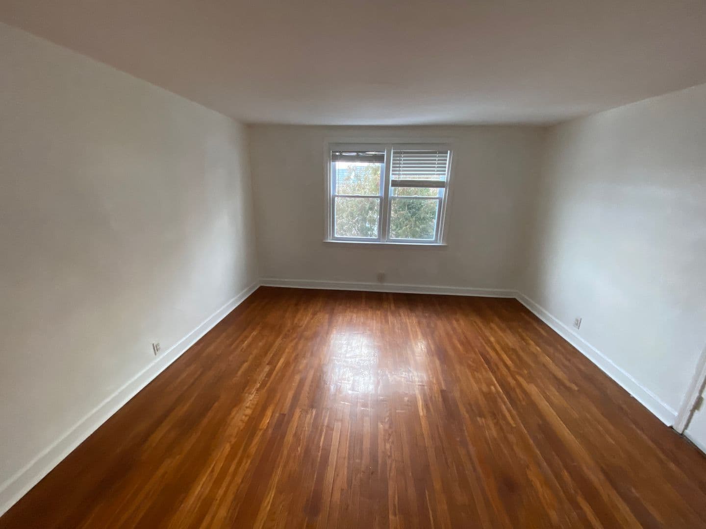 Philadelphia Apartment: 6343 Carnation Street