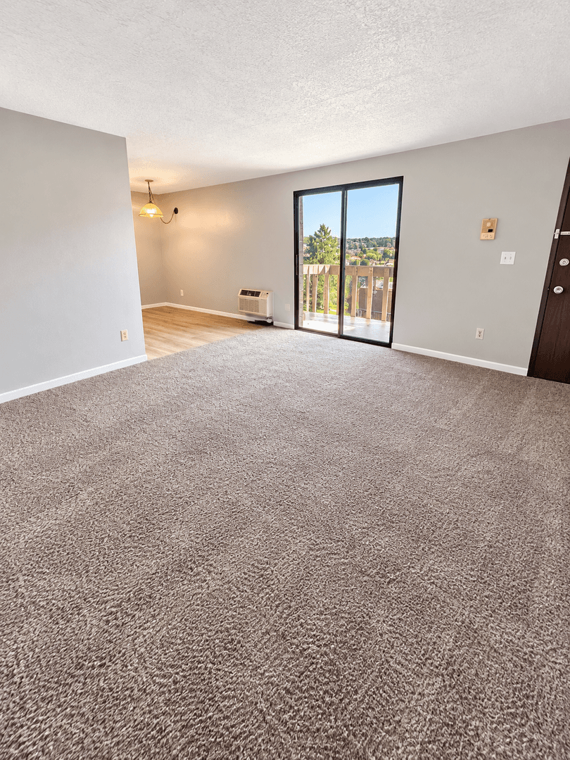 Carnegie Apartment: 711 Cubbage Street