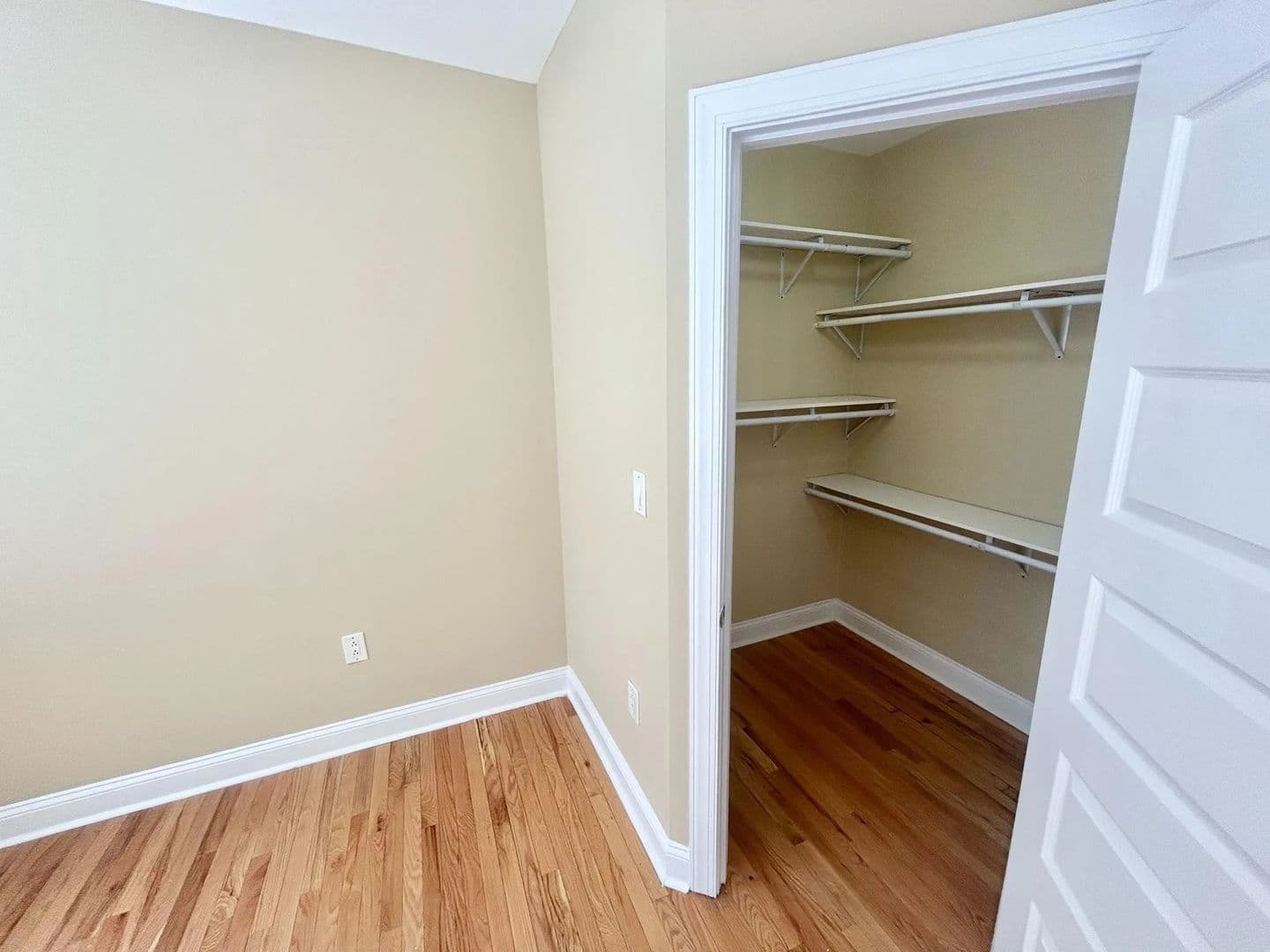 Philadelphia Apartment: 319 W Chelten Ave