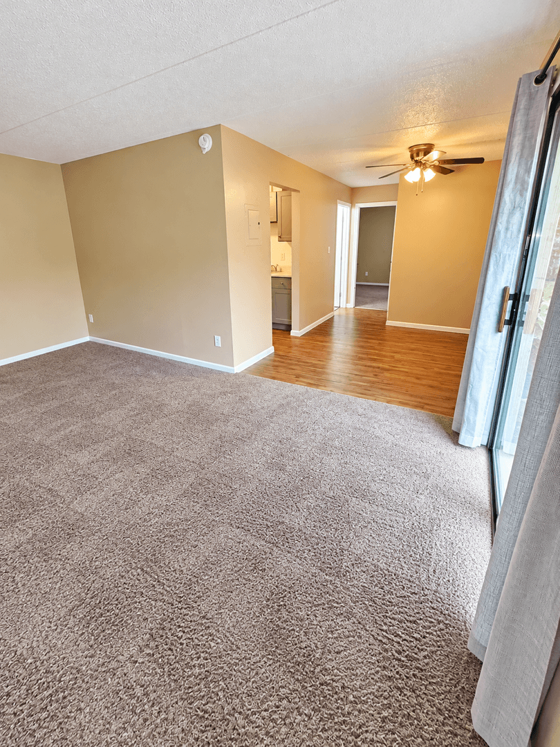 Carnegie Apartment: 711 Cubbage Street