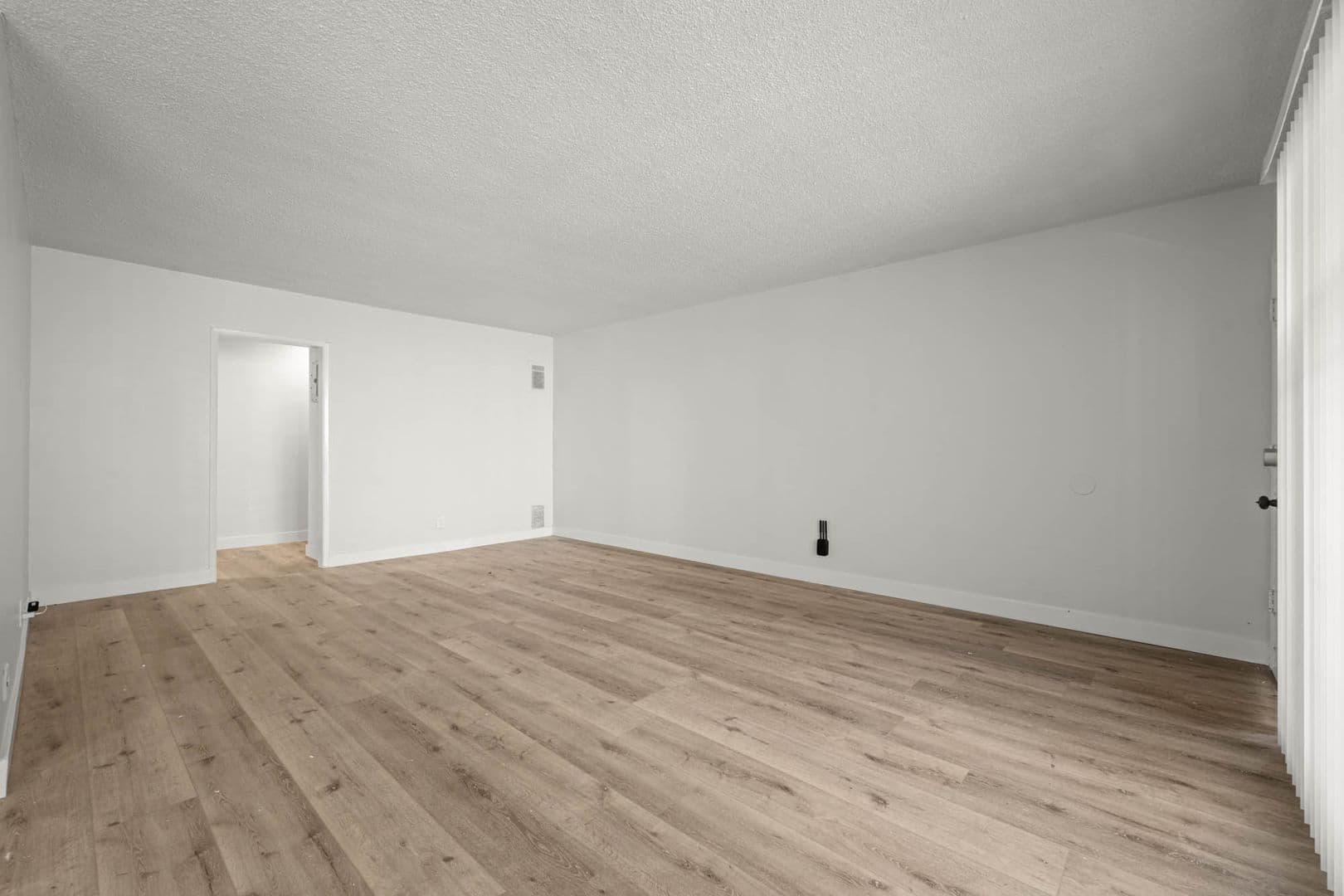 Los Angeles Apartment: 3872 & 3878 S Potomac Ave