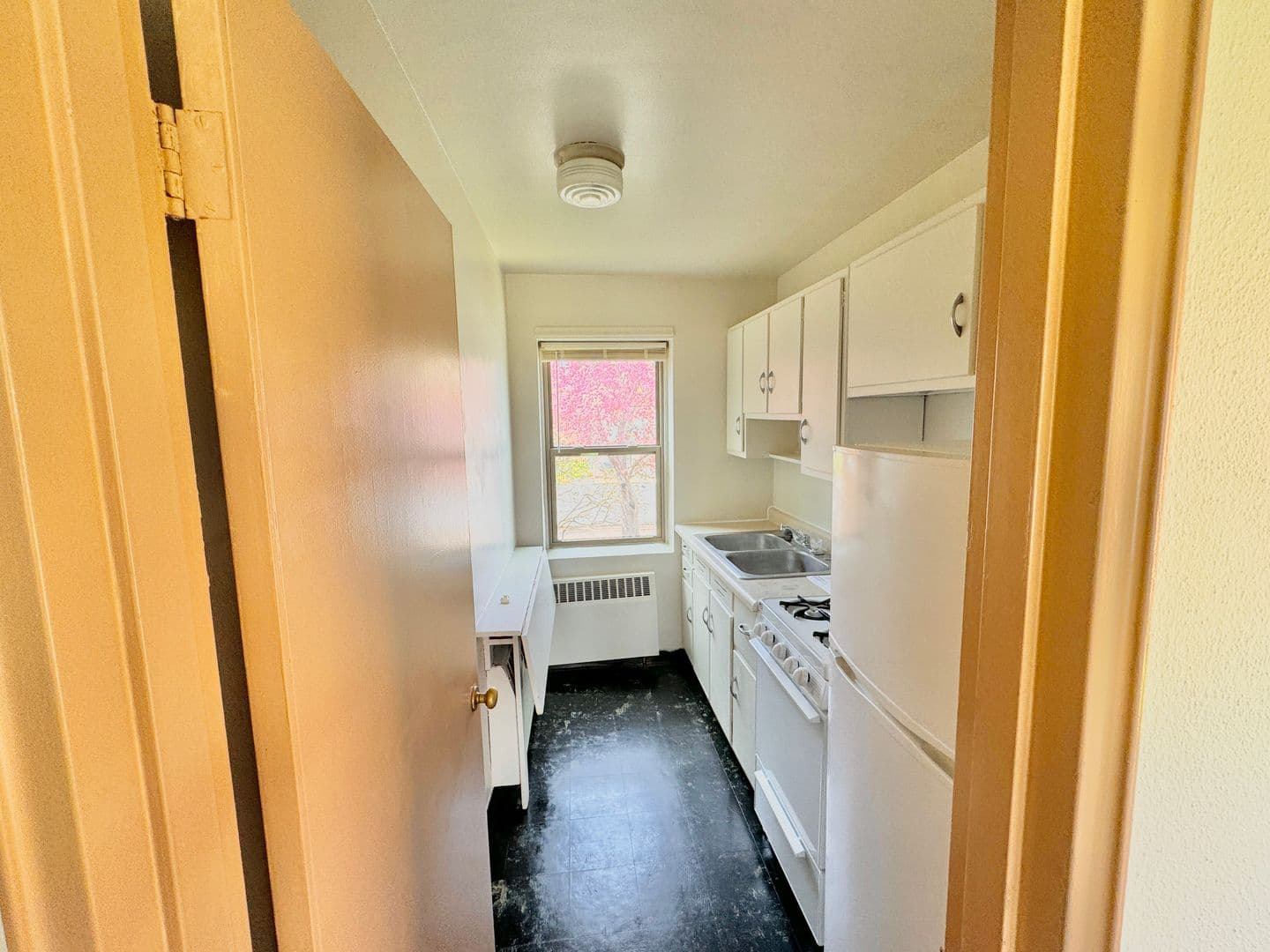 Rochester Apartment: 1510 3rd Ave NE