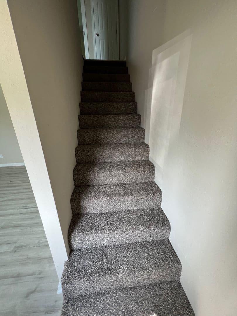 Ozark Apartment: 603 E Bain St
